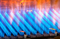 Bredbury Green gas fired boilers